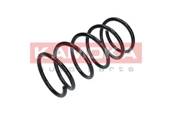 Suspension Spring (2110275)
