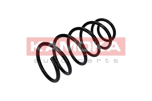 Suspension Spring (2110293)