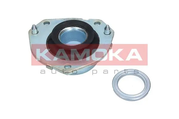 Repair Kit, suspension strut support mount (209061)