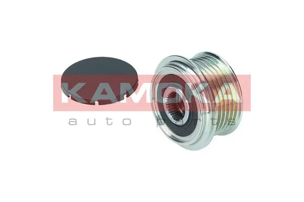 Alternator Freewheel Clutch
