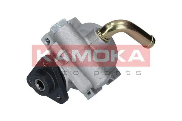 Hydraulic Pump, steering (PP123)
