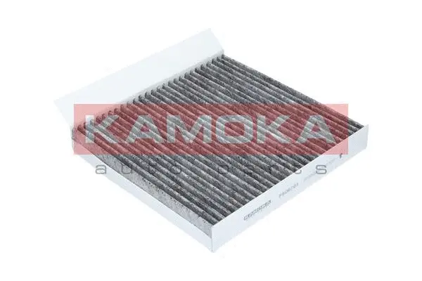 Filter, cabin air (F506701)
