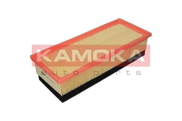 Air Filter (F224001)