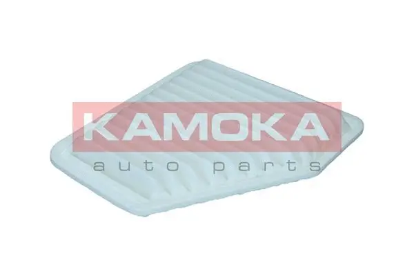 Air Filter (F242101)