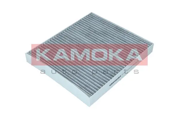 Filter, cabin air (F513601)