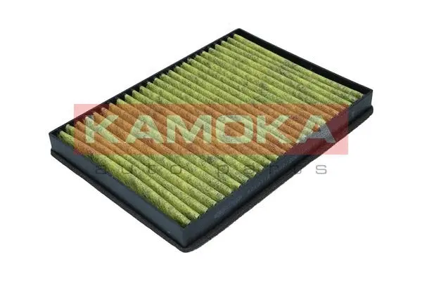 Filter, cabin air (6080119)