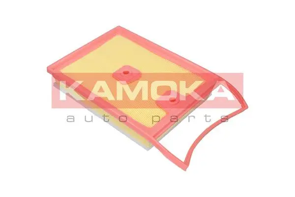 Air Filter (F250801)
