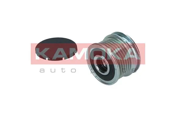 Alternator Freewheel Clutch