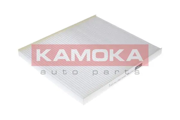 Filter, cabin air (F412501)