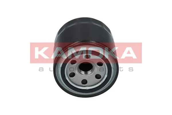 Oil Filter (F101701)