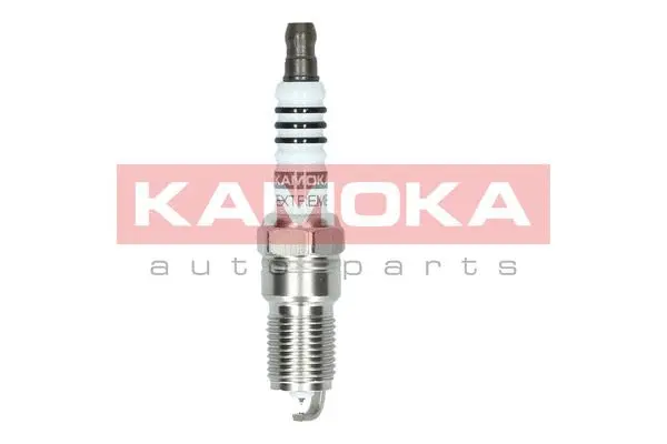 Spark Plug (7100024)
