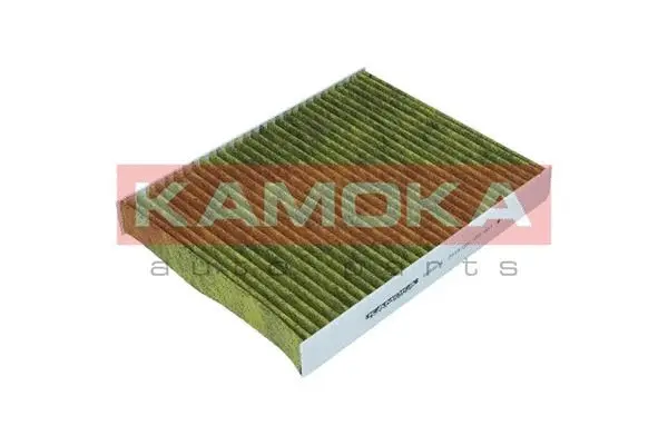 Filter, cabin air (6080014)