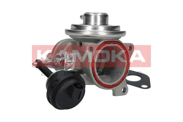 EGR Valve