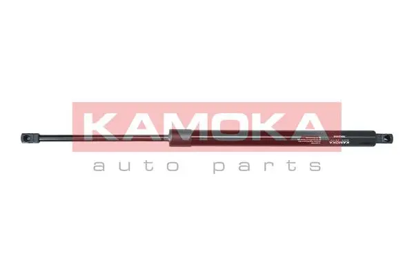 Gas Spring, boot/cargo area (7092492)