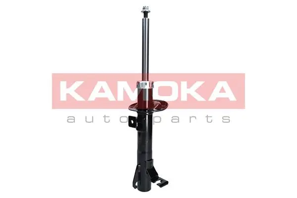 Shock Absorber (2000262)