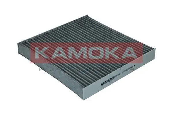 Filter, cabin air (F511501)