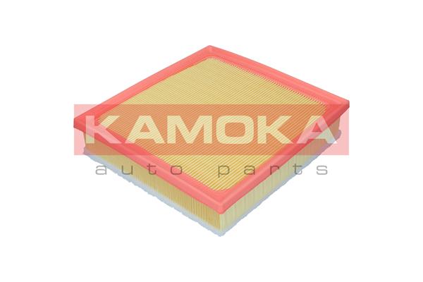 Air Filter (F257801)