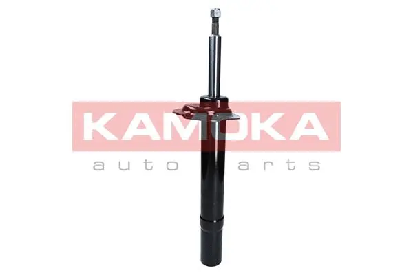 Shock Absorber (2000482)