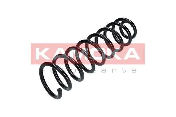 Suspension Spring (2120209)