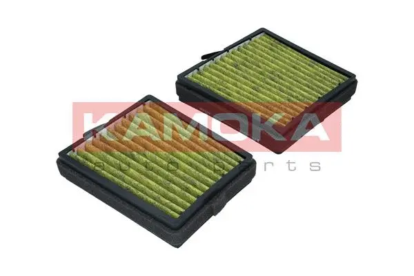 Filter, cabin air (6080046)