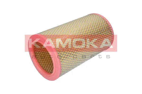Air Filter (F236601)