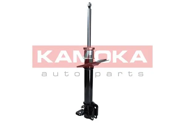Shock Absorber (2000026)