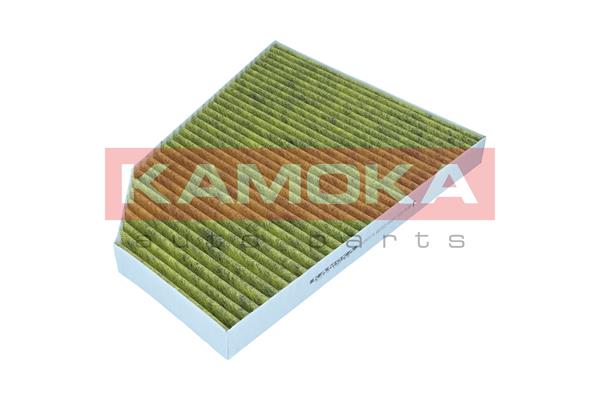 Filter, cabin air (6080174)