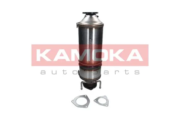 Soot/Particulate Filter, exhaust system (8010024)
