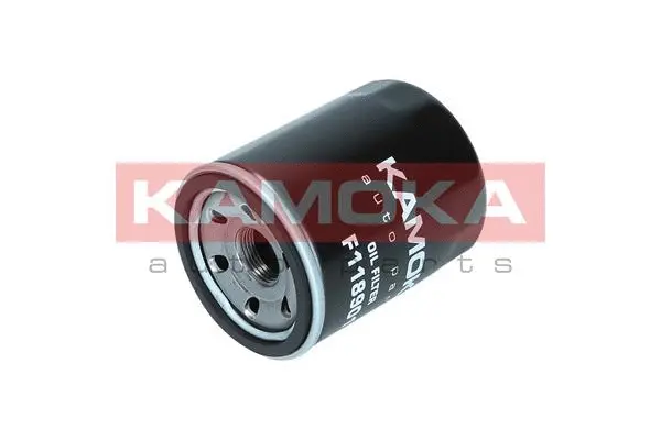 Oil Filter (F118901)
