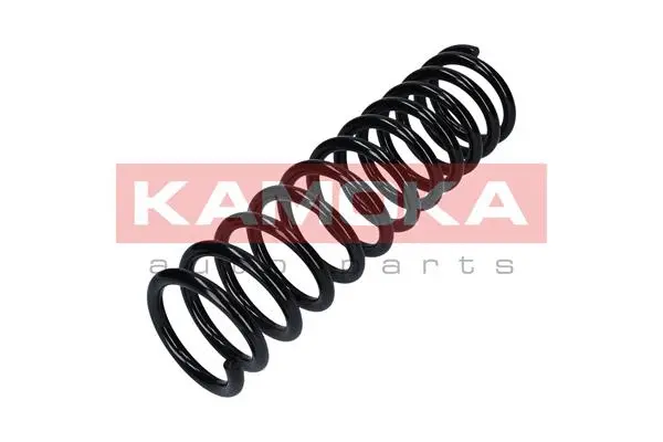 Suspension Spring (2120151)