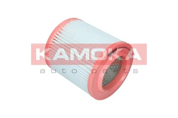 Air Filter (F252401)