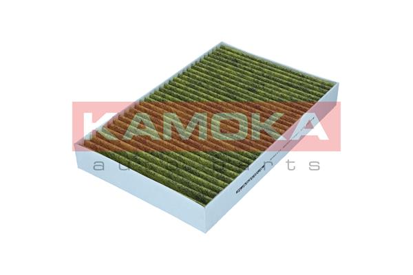 Filter, cabin air (6080173)