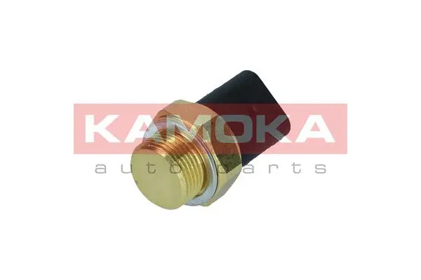 Temperature Switch, radiator fan (4090008)