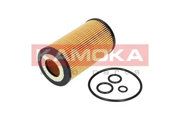 Oil Filter (F111401)
