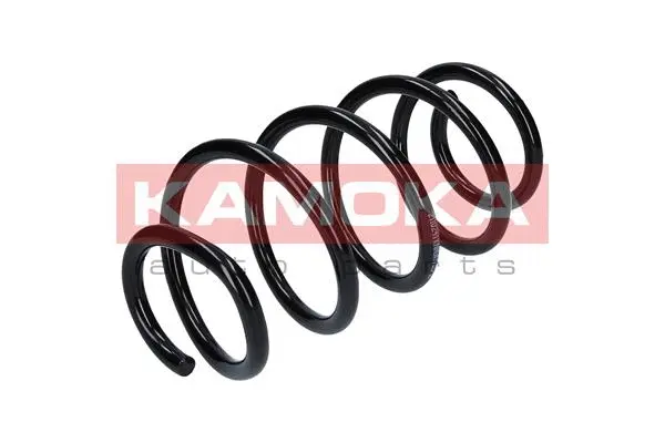 Suspension Spring (2110241)