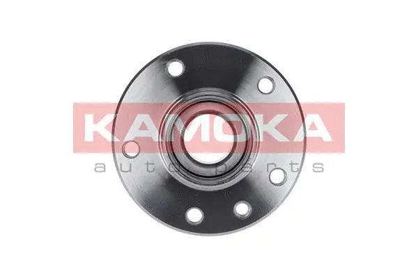 Wheel Bearing Kit (5500121)