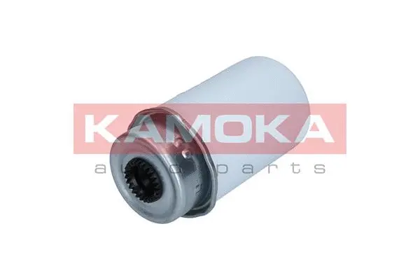 Fuel Filter (F312601)