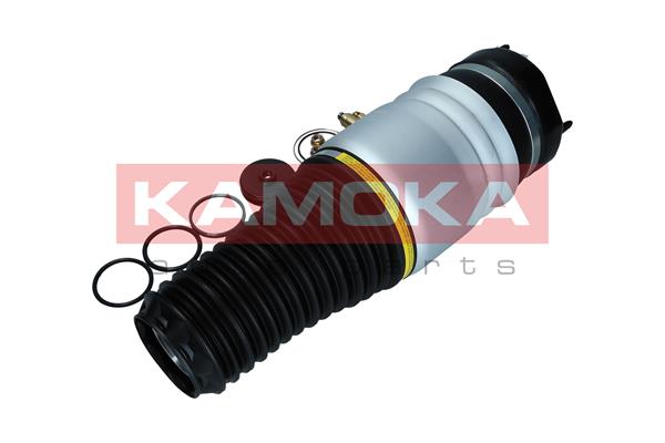 Air Spring, suspension