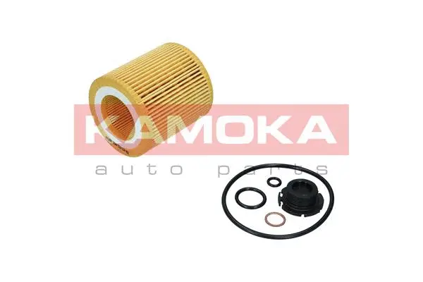 Oil Filter (F119801)