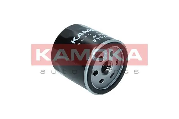 Oil Filter (F117501)