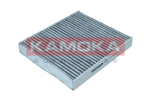 Filter, cabin air (F511301)