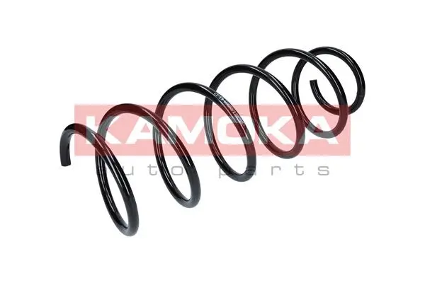 Suspension Spring (2110218)