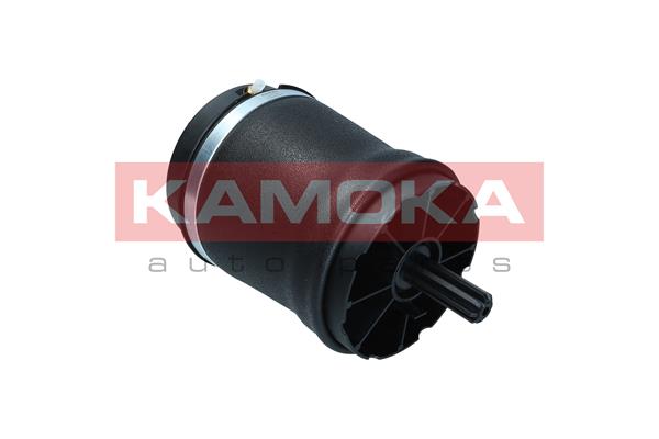 Air Spring, suspension