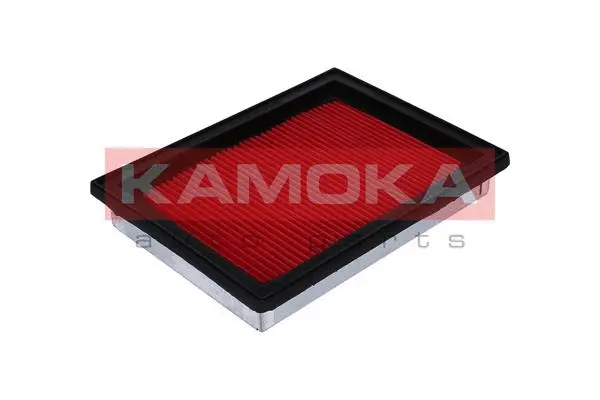 Air Filter (F204901)