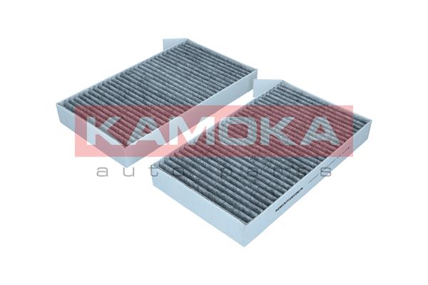 Filter, cabin air (F520801)