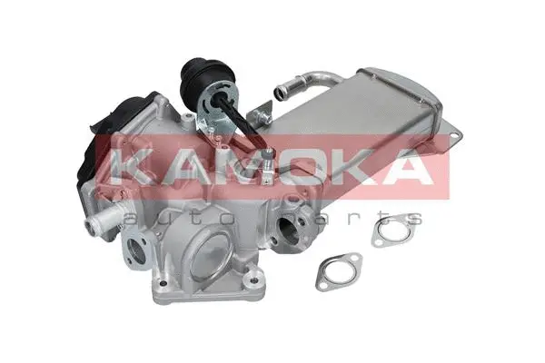 EGR Module