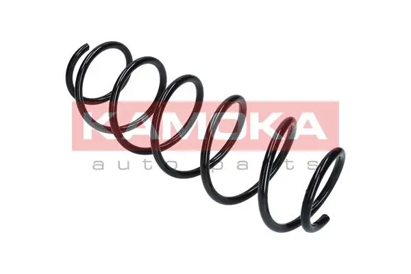Suspension Spring (2110149)