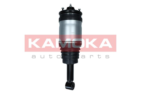 Air Suspension Strut (2070026)