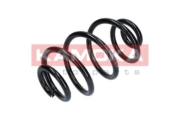 Suspension Spring (2120210)