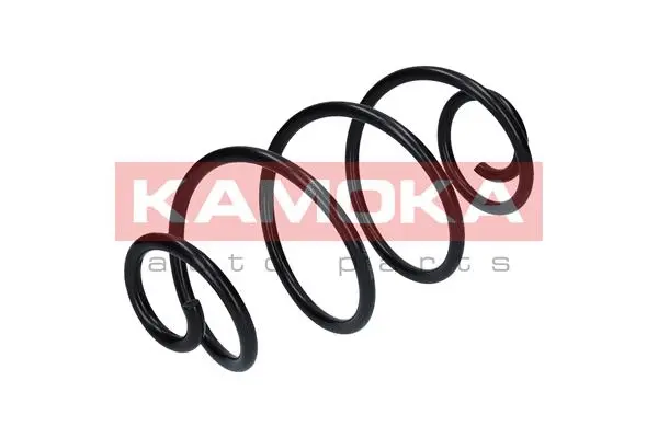 Suspension Spring (2120046)